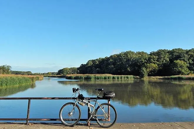 Scenic view of Busse Woods Lake in Schaumburg, IL, with calm water, lush green trees, and a clear blue sky. A popular outdoor spot for nature lovers and hikers.